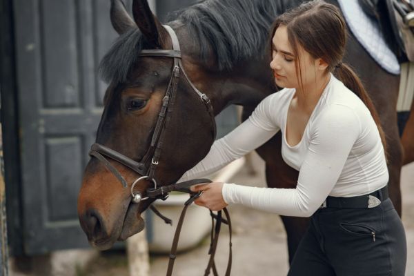 Pour un soin de qualité : pourquoi choisir Equibel pour votre cheval